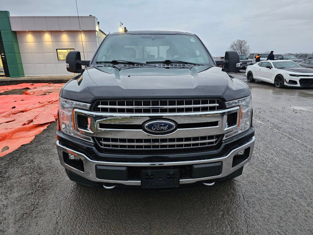2020 Ford F-150 in Cars & Trucks in Ottawa - Image 3