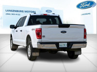 Langenburg Motors invites you to explore this powerful 2023 Ford F-150 XLT 4X4 SuperCrew This rugged... (image 5)