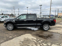 The 2024 F-150 is purpose-built from the ground up designed to be the toughest, most productive F-15... (image 3)