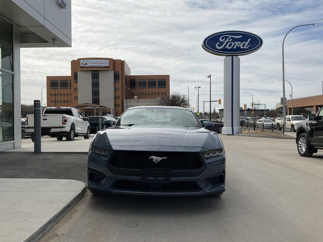  2024 Ford Mustang EcoBoost in Cars & Trucks in Winnipeg - Image 2
