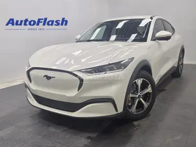 +Régulateur de vitesse adaptatif / Adaptive cruise control +Système d'assistance conduite / Driver a...