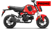 2023 HONDA GROM