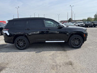 HIGH ALTITUDE PACKAGE -inc: Wheels: 21 x 9 Black Painted Aluminum Painted Door Cladding Gloss Black... (image 3)