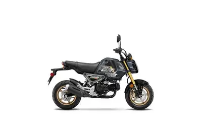 Engine Type: Single-cylinder Displacement: 124 cc Bore and Stroke: 50.0 mm x 63.1 mm Cooling: Air Co...