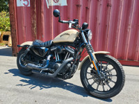 2016 Harley-Davidson® XL833N IRON