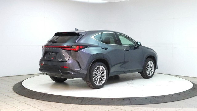 2025 Lexus NX 350h in Cars & Trucks in Lethbridge - Image 4
