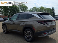 Price includes all Fees and Add-ons. What you see is what you pay! - Excludes GST The 2025 Hyundai T... (image 3)