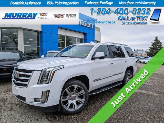 2019 Cadillac Escalade *Local Trade*Luxury Package*Heated/Cooled in Cars & Trucks in Brandon