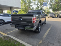 2013 FORD F-150 XLT 5.0L V8 6 SPEED AUTOMATIC FEATURES: XLT CONVENIENCE PACKAGE TRAILER BRAKE CONTRO... (image 7)