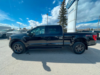 2022 Ford F-150 XLT Tailgate Step, XLT Sport Package, Max Tra...