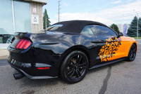 SAFETY INCLUDED LOCAL ONTARIO CAR Very Clean Ford Mustang Coupe 2.3L 4Cyl Eco Boost Convertible Prem... (image 6)