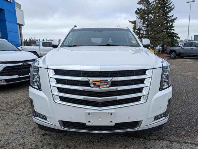 2019 Cadillac Escalade *Local Trade*Luxury Package*Heated/Cooled in Cars & Trucks in Brandon - Image 2