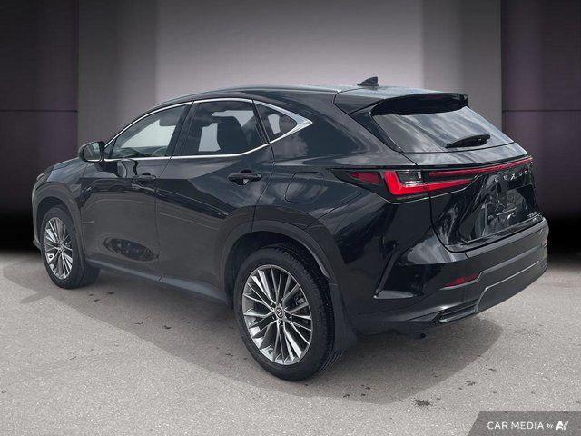 2022 Lexus NX NX 350h in Cars & Trucks in Cambridge - Image 4