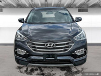 The 2017 Hyundai Santa Fe Platinum in Graphite offers all-wheel drive with a panoramic sunroof, heat... (image 8)