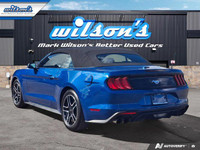 Look at this certified 2022 Ford Mustang EcoBoost Premium Convertible | Manual | 101A Group | Active... (image 2)