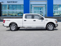 Ready for anything, built for everything. The 2019 Ford F-150 XLT 4x4 stands as a testament to Ameri... (image 4)