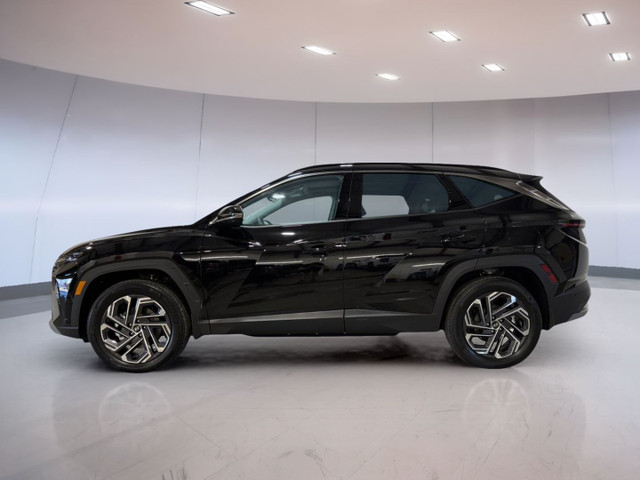 2025 Hyundai Tucson Plug-In Hybrid Ultimate in Cars & Trucks in Moose Jaw - Image 3