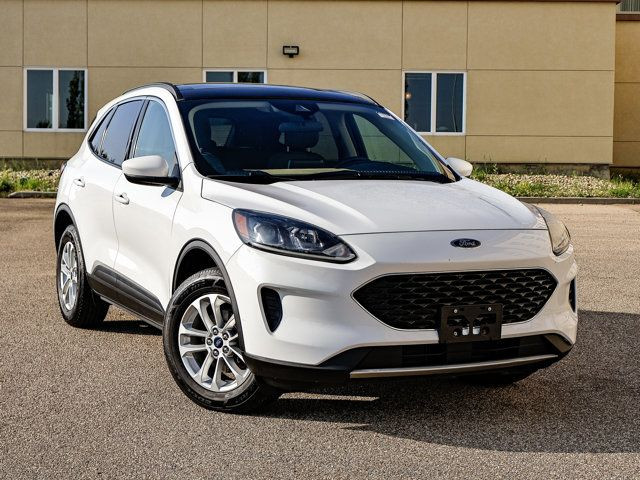 2020 Ford Escape SE 1.5L Ecoboost in Cars & Trucks in Strathcona County - Image 2