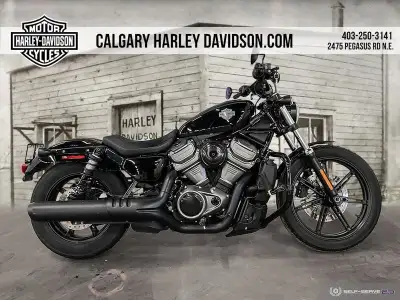 Classic style, nimble performance. Designed to inspire both new and experienced riders, the 2023 Nig...