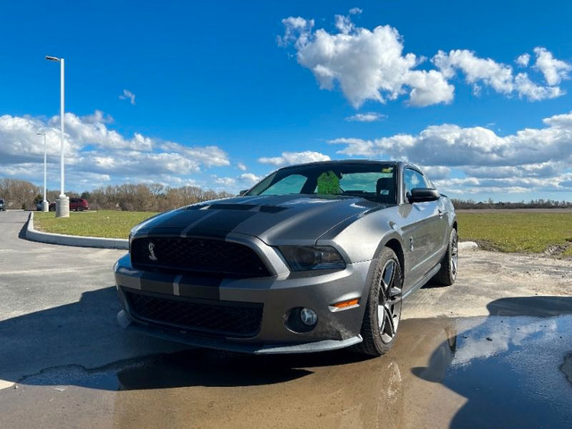  2010 Ford Mustang Shelby GT500 *5.4L Supercharged 32V, Manual T in Cars & Trucks in Kawartha Lakes - Image 4