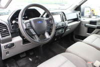 Introducing The 2019 Ford F-150 XLT 4WD SuperCrew With Its 5.0 V8 Engine, This Truck Means Business.... (image 8)