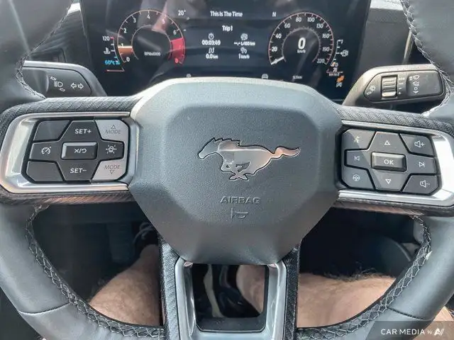 2025 Ford Mustang EcoBoost in Cars & Trucks in Brandon - Image 22
