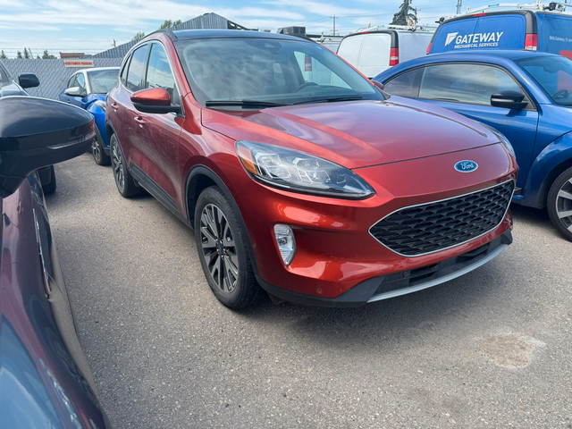 2020 Ford Escape Titanium 2.0L AWD in Cars & Trucks in Calgary - Image 4