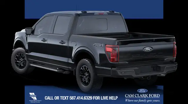 2025 Ford F-150 XLT63023585306499121