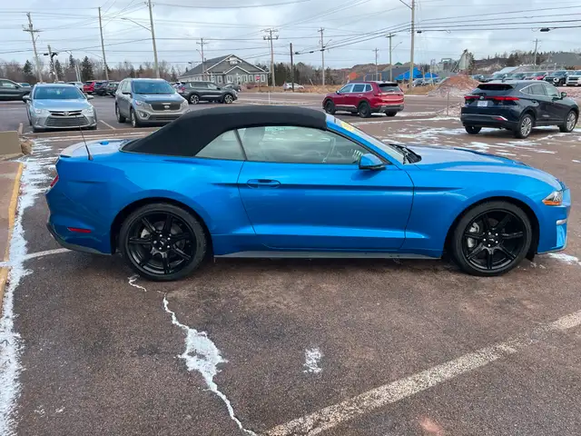 2019 Ford Mustang EcoBoost Premium Heated Seats, Backup Camera in Cars & Trucks in Charlottetown - Image 7