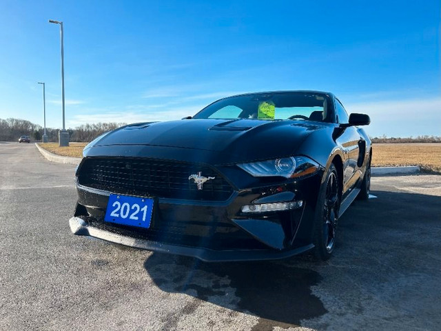  2021 Ford Mustang GT Premium *California Special Fastback, Auto in Cars & Trucks in Kawartha Lakes - Image 3