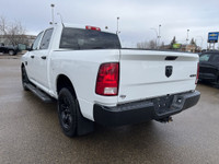 Keen on tackling the tough jobs with a vehicle that's veritably equipped for the long haul? The 2023... (image 5)