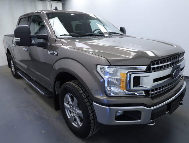 2019 Ford F-150 XL CLEAN CARFAX | V8 | BACK UP CAMERA in Cars & Trucks in Lethbridge - Image 2