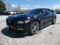 2017 Ford Mustang GT Premium | Navigation | Cooled Seats | Back 