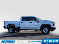 Trailer Package | WT Fleet convenience Package | Remote keyless entry | Chevrolet Infotainment 3 wit... (image 3)