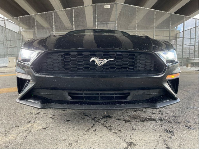 2023 Ford Mustang CONVERTIBLE EcoBoost Premium HEAT/COOL LEATHER in Cars & Trucks in Delta/Surrey/Langley - Image 2