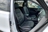 1.5 L 4 Cyl Engine Vehicle Options: Leather Interior, Sunroof, 360 Degree Camera, Heads-up Display,... (image 6)