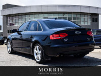 Welcome to Maserati Alfa Romeo of Winnipeg, home to one of the largest used car inventories in the c... (image 3)