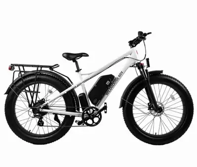 Go all out with the Daymak Wild Goose fat tire ebike. Taking the beaten path has just got a lot easi...