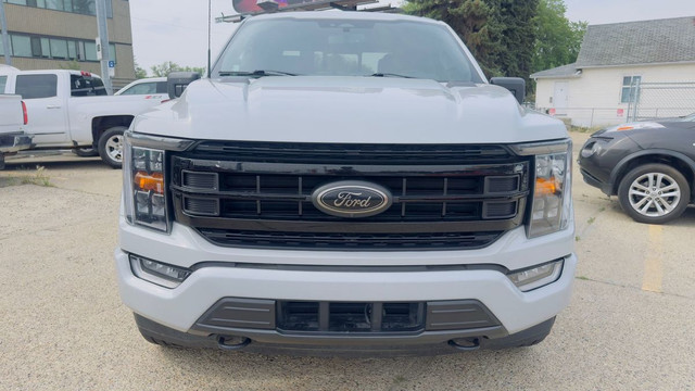 2023 Ford F-150 in Cars & Trucks in Edmonton - Image 4