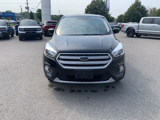 2019 Ford Escape SE FWD - Heated Seats - Android Auto in Cars & Trucks in Kawartha Lakes - Image 2