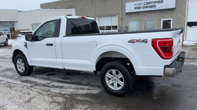 2022 Ford F-150 XLT READY TO WORK | REG CAB LONG BOX | 4X4 in Cars & Trucks in Kitchener / Waterloo - Image 4