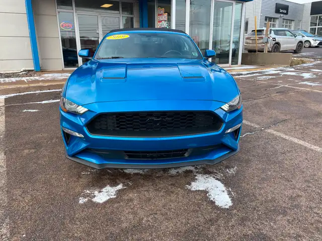 2019 Ford Mustang EcoBoost Premium Heated Seats, Backup Camera in Cars & Trucks in Charlottetown - Image 5