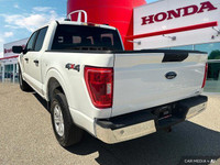 Command the road with this robust 2023 Ford F-150 XL Crew Cab pickup, boasting a powerful 3.5L V6 Ec... (image 3)