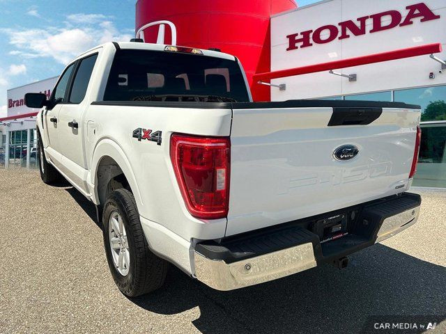 2023 Ford F-150 XL in Cars & Trucks in Brantford - Image 4