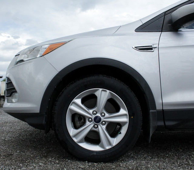 2015 Ford Escape in Cars & Trucks in Penticton - Image 2