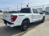 2023 Ford F-150 Tremor 4WD SuperCrew 5.5' Box, 3.5L V6 EcoBoost, Gas, 10-Spd Automatic, Class IV Tow... (image 4)