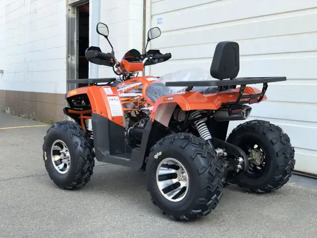 2024 Gio Blazer 200HS Premium Brand New! ATV/UTV Available in Ou in ATVs in Edmonton - Image 3