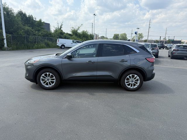 2022 Ford Escape SE in Cars & Trucks in Windsor Region - Image 3