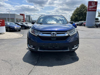 Come visit our Sterling Honda team, you can find us at 1495 Upper James Street, Hamilton, ON L9B 1K2... (image 1)