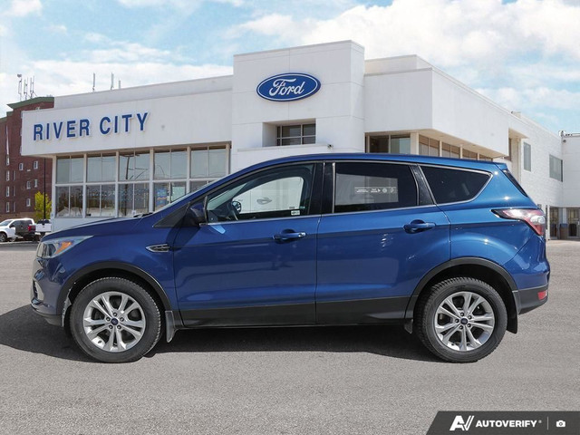 2017 Ford Escape 4WD 4dr SE in Cars & Trucks in Winnipeg - Image 3